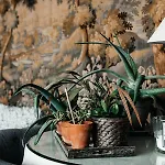 Villa Logis De La Motte Féodale Le Mesnil-Jourdain