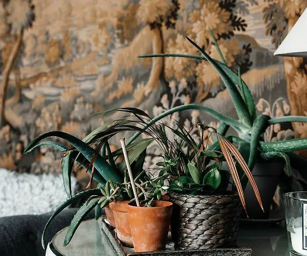 Villa La Motte Feodale Luxury Medieval Manor Rated 5 Stars In Normandy Le Mesnil-Jourdain